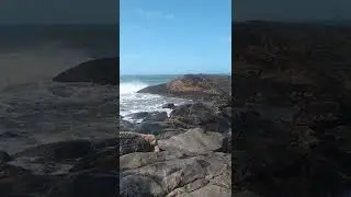 Cibra point 😎🤙