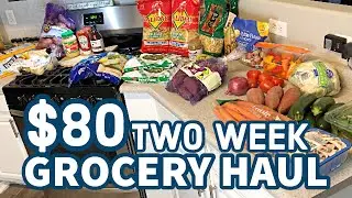 Extreme Budget Grocery Haul | $80 TWO WEEK GROCERY HAUL | Couples Grocery Haul / Plant Based