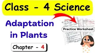 Adaptation in Plants | Class 4 Science | Class 4 Worksheet | Science Worksheet for Class 4 | Class 4