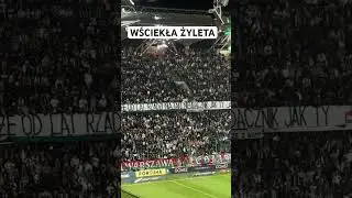 ZDENERWOWANA ŻYLETA #żyleta #legiawarszawa #piłkanożna #shorts #kibice #ultras #ekstraklasa #legia
