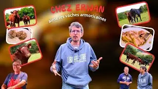 CHEZ ERWAN AIME LES ARMORICAINES 🐮