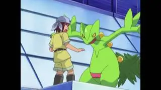 Pokemon:Sceptile vs Regirock