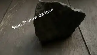 How to adopt a pet rock
