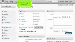 How to write a comment in Wordpress (Flipper Host)
