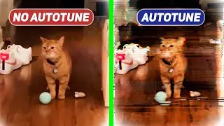 CAT - I Go Meow song ORIGINAL vs AUTOTUNE edit