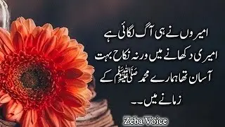 Ameero ne hi aag lagai he | urdu poetry | best urdu quotes collection | islamic quotes #zebavoice1 