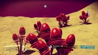 No Man's Sky found Thamium9 patch
