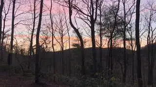 HOBO on the Appalachian Trail:  Erwin, TN to Hughes Gap