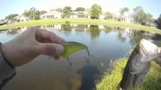 LTB: Lucky Tackle Box Slam June 2015