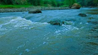 Enjoy 10 minutes of peaceful river ambience captured from a real natural stream