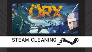 Steam Cleaning - ORX