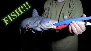 Gizzard Shad Saves The Night!!!  Catfish on fresh bait