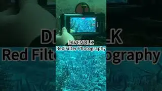 Red Filter photography From DIVEVOLK