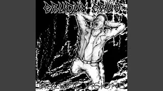 Driven Into Violence