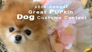 Brooklyn, New York【26th Annual Great PUPkin Dog Costume Contest🐶🐕 🐕‍🦺| Fort Greene Park】Oct 26, 2024