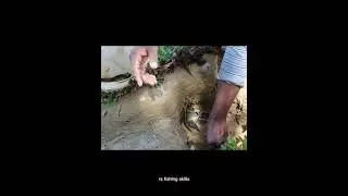 Amazing Underground Hole Fish Trap / YouTube shorts
