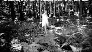 Taylor Swift~*~All Too Well~*~Lyrics & Videos (On Screen)