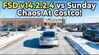 Tesla FSD v14.2.2.4 vs Sunday Chaos At Costco!