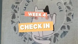 September Budget Week 4 | 75 Hard Personal Finance Challenge Progress
