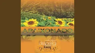 Apaixonado