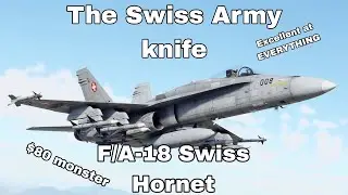 The $80 Swiss Army Knife | F/A-18 Swiss Hornet | Excellent at EVERYTHING!