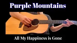Purple Mountains - All My Happiness is Gone - Fingerstyle Guitar (Collings DS1) 
