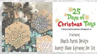 25 Days of Christmas Tags with Birch Press Designs | Frosty Flake Tags | Stretching Your Dies
