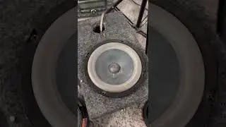 Bose 6.5