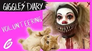 Volunteering | Giggles the Clown