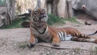 El Paso Zoo Virtual Tour