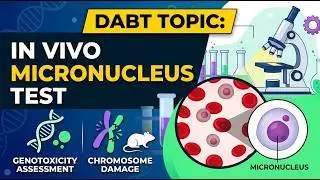 DABT Topic_in vivo micronucleus test