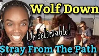 *The Crowd Is Insane* WOLF DOWN - STRAY FROM THE PATH - HARDCORE WORLDWIDE  | REACTION
