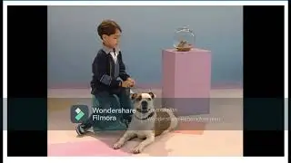 Elmo's World Dogs Kids and Baby High Pitch #elmosworld #elmo #sesamestreet