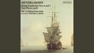 String Symphony No.7 in D Minor, MWV N 7: I. Allegro