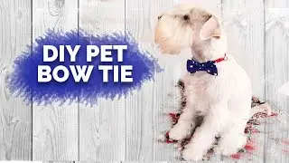 DIY PET BOW TIE | DOG BOW TIE OVER THE COLLAR TUTORIAL