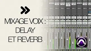 Mixage voix : Delay et reverb