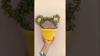 Jade topiary #Mickey mouse #cartoon #disney #topiary#plants #happy #nature