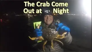 Dungeness Crab Come out at Night! | Winter Crabbing on the Oregon Coast | Newport Pier Dock Crabbing