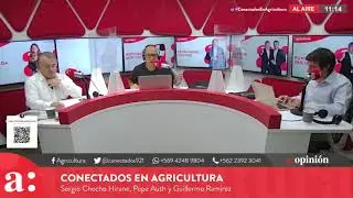 Checho Hirane tras paso de Kast a segunda vuelta : 