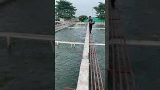 ras and biofloc high density fish farming
