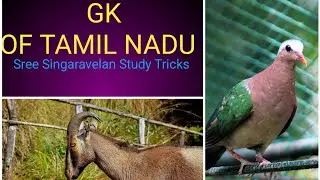 Tamil Nadu State Tree || State Flower || State Bird || State Tree || State Fruit || State Insect