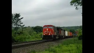 CSX Q620 Mixed Freight Train w/ Canadian National Power Schenectady NY 06-14-2003 rare C40-8M loco!!
