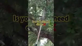3 Benefits of Using a Pole Saw When Trimming Trees