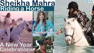 Sheikha Mahra Riding a Horse |Dubai Princess Sheikha Mahra LifeStyle #dubaiprincess #sheikhamahra