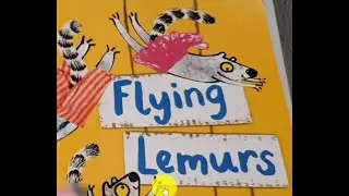 Flying Lemurs