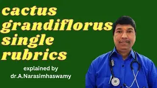 CACTUS GRANDIFLORUS SINGLE RUBRICS