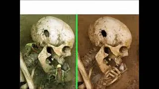 182 Giants+Dissected,+110+Fake+Giants+Debunked