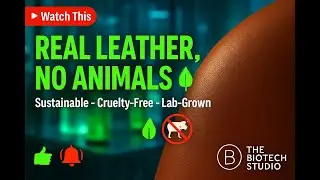 Biofabricated Leather Explained: Lab-Grown, Sustainable & Cruelty-Free Fashion Revolution