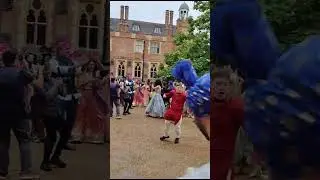 Asian Wedding Horse Hire London | Baraat Entry #wedding #shortvideo #shorts