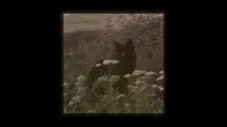 Зима по-особу прекрасна. // Dark Ambient Calm Playlist 2025 // 1 Hour